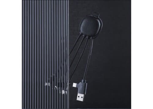 4000 | Xoopar Iné Smart Charging cable with NFC