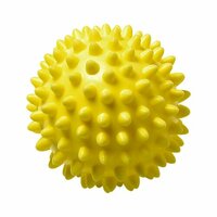 WellnessBall Igel