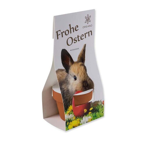 Logo-Töpfchen Überreichverpackung mit Samen - Ostern