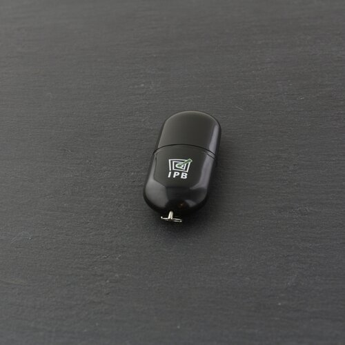 USB-Stick Oval