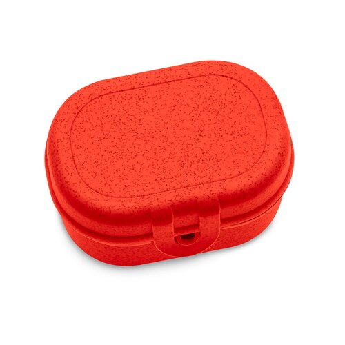 PASCAL MINI Lunchbox