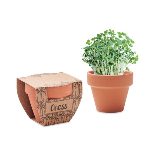 CRESS POT Terrakotta-Topf Kresse