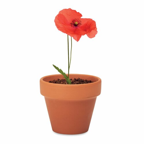 RED POPPY Terracotta-Topf Mohnblume