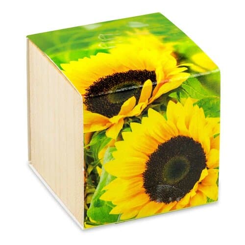 Pflanz-Holz - Standardmotiv - Sonnenblume