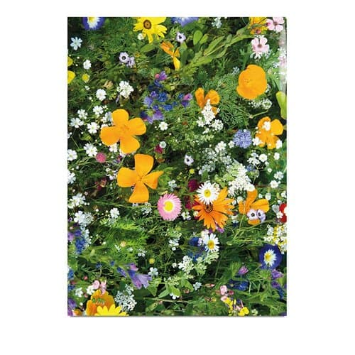 Samentütchen Klein - Standardmotiv - Sommerblumenmischung