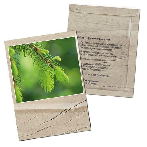 Samentütchen Mini - Standardmotiv - Fichte