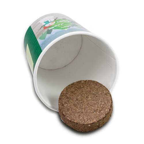 Weihnachtsbaum To-Go