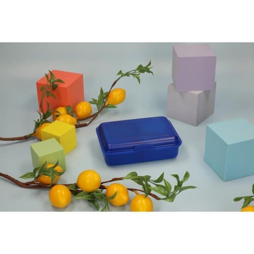 Vorratsdose "School-Box" mittel mit Trennwand