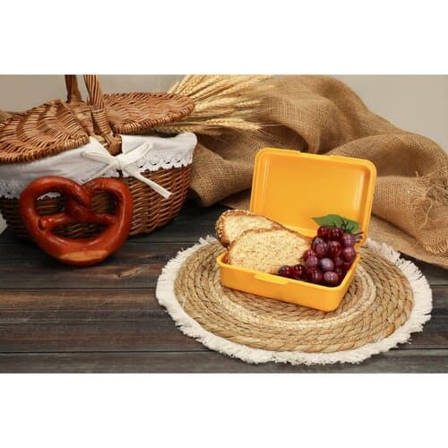 Vorratsdose "School-Box" mittel