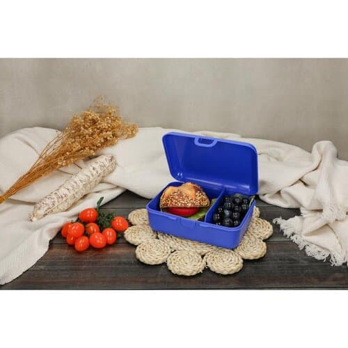 Vorratsdose "School-Box" deluxe, mit Trennschale