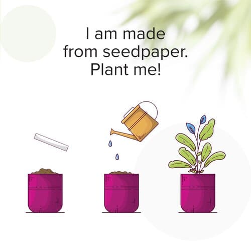 Bookmark Seed Paper (40 g/m²) Lesezeichen