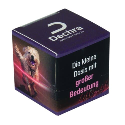 Traubenzucker-Pastillen im Süßen Würfel