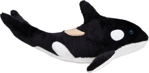Orca Phil