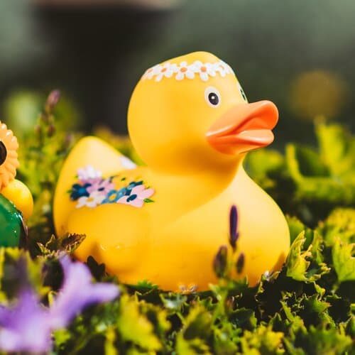 Quietsche-Ente Blumendesign