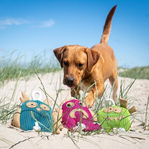 Hundespielzeug Gespenst