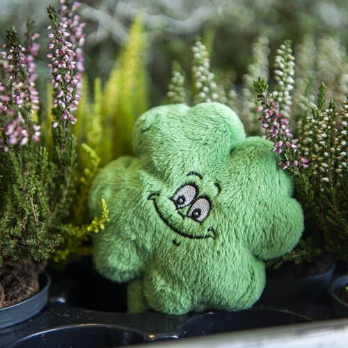 Schmoozies® Kleeblatt