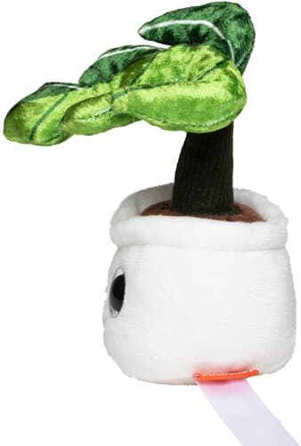 Schmoozies® Evergreenies® Monstera