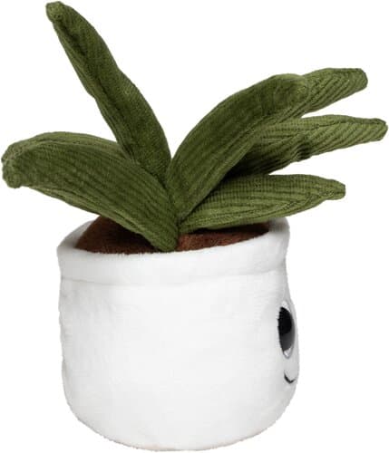 Schmoozies® Evergreenies® Aloe Vera