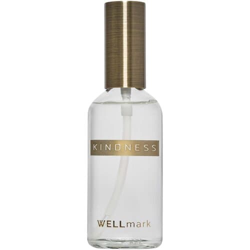 Wellmark 100 ml Raumspray