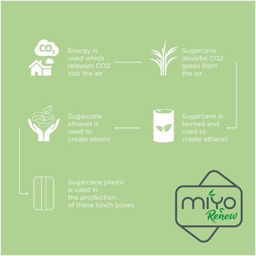 MIYO Renew 700 ml Lunchbox