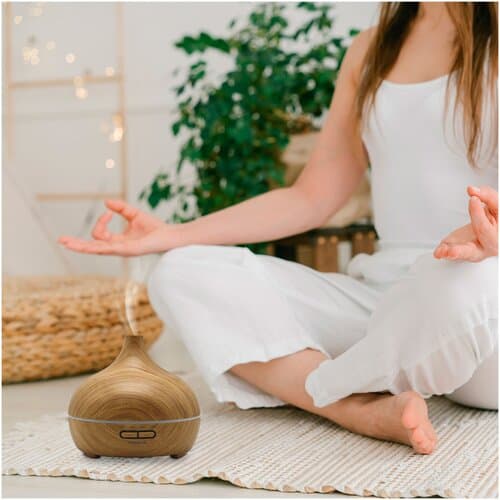 Prixton Hidra Luftbefeuchter