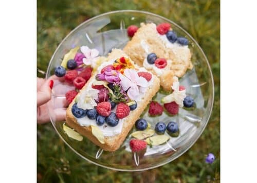 Sagaform Picknick-Tellerchen 4er-Pack