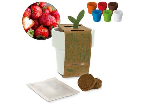 Hot-but-cool Tasse mit Erdbeersamen