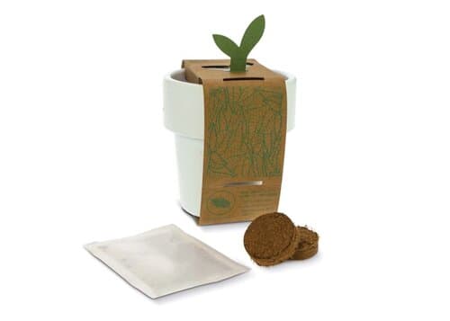 Hot-but-cool Tasse mit Kirschtomatenamen