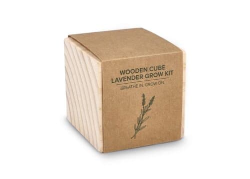 FSC-Holzpflanzgefäß-Set – Lavendel
