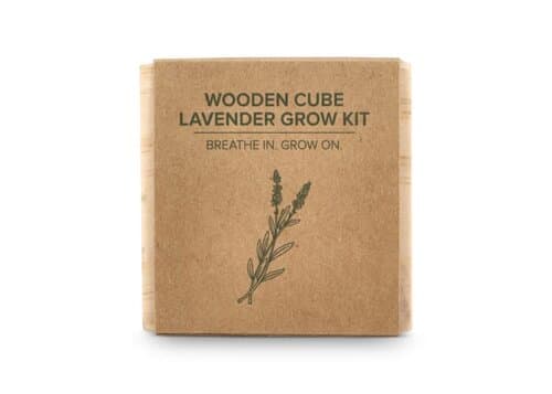 FSC-Holzpflanzgefäß-Set – Lavendel