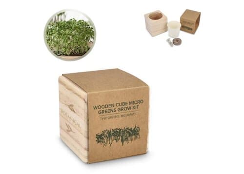 FSC-Holzpflanzgefäß-Set – Microgreens